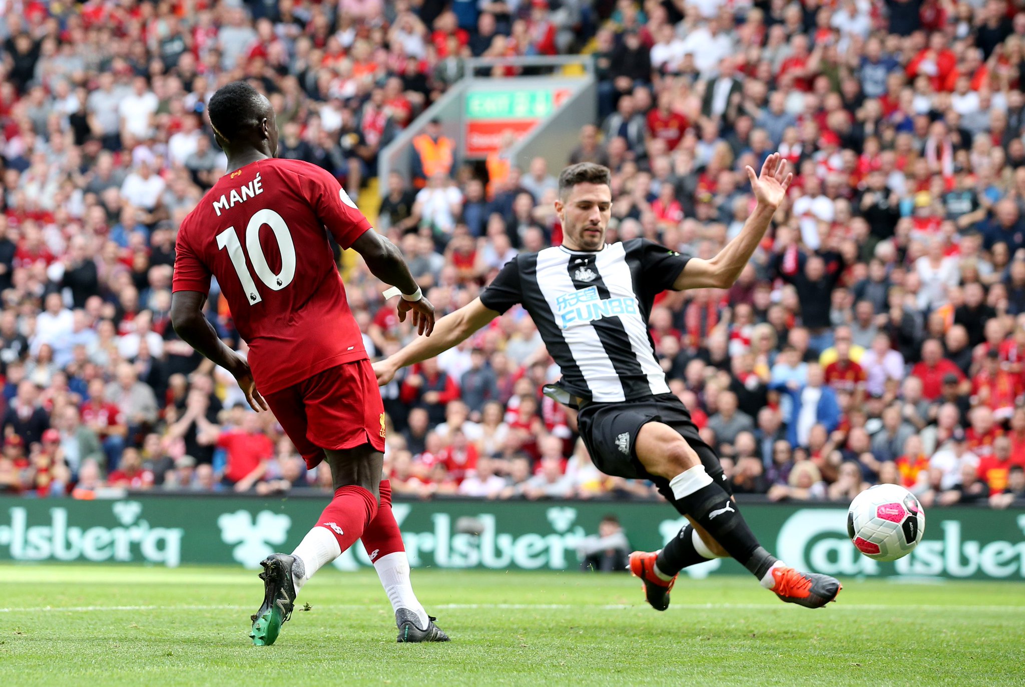 马的阵容调 马的阵容调